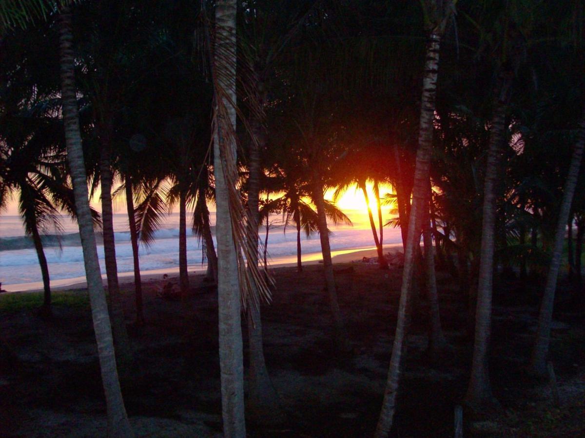 Apartamento Plumita Pacifica Playa Junquillal